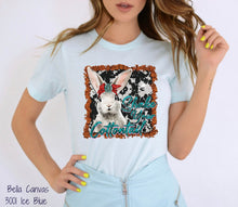 Load image into Gallery viewer, PO SHIPS 2/2 Screen Print Transfer | Boho Shake Your Cottontail (HIGH HEAT)

